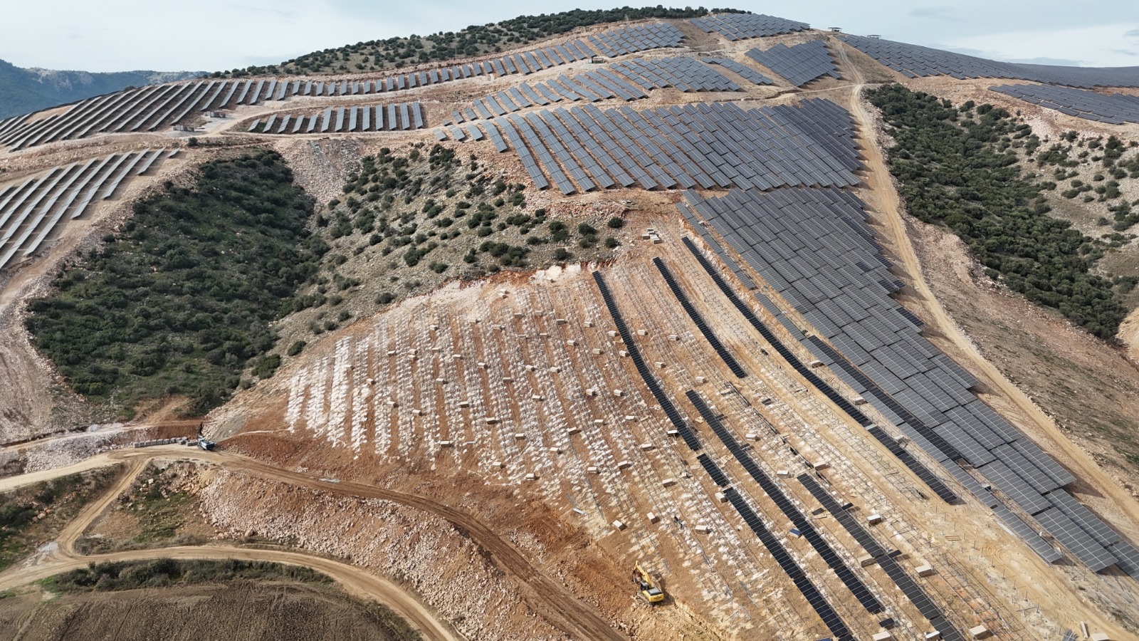 WhatsApp Image 2026-02-06 at 16.31.02 (5)