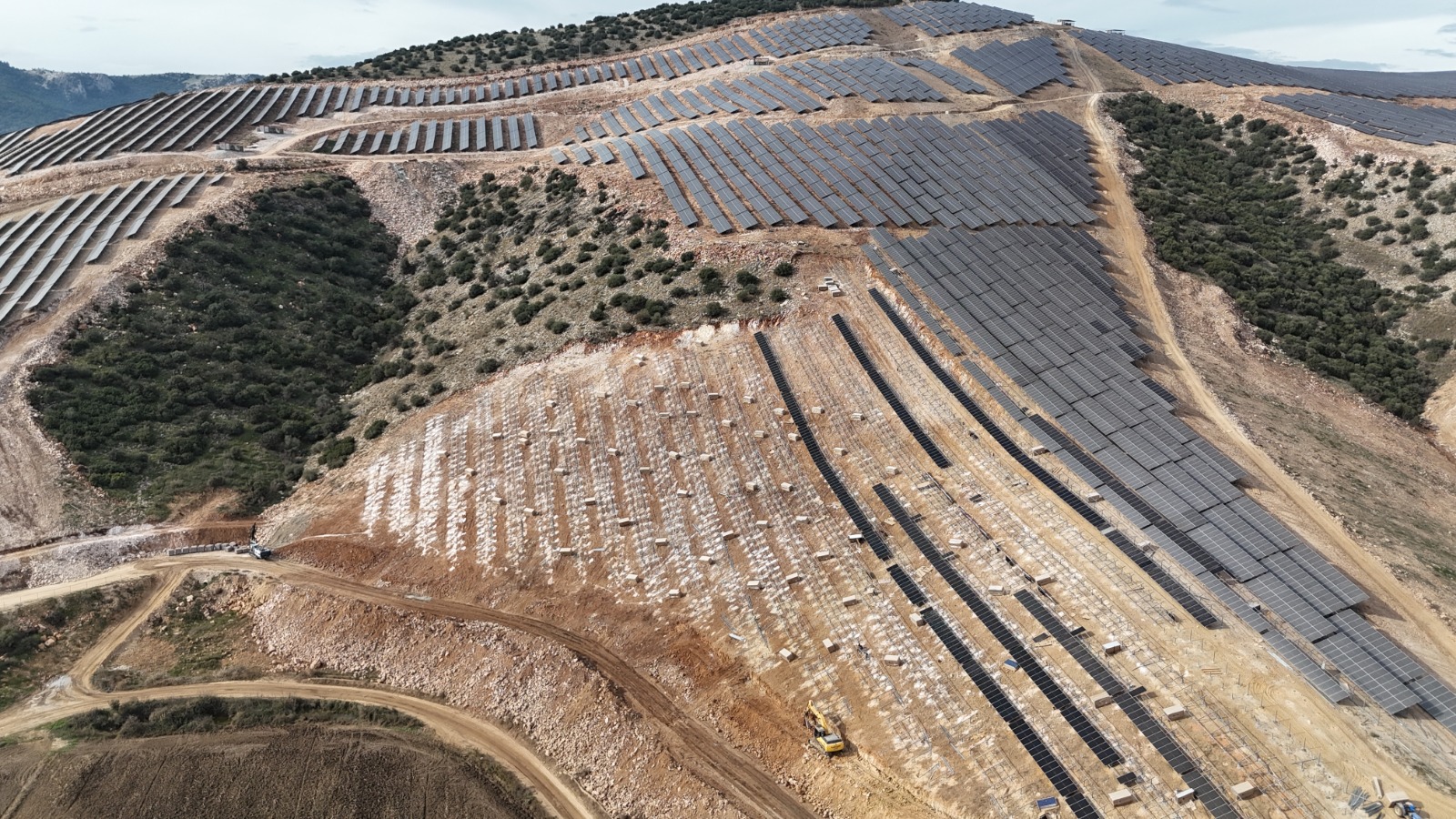 WhatsApp Image 2026-02-06 at 16.31.02 (6)